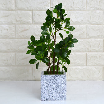 Artificial Bonsai Plant in designer pot ( Height 38 cm )