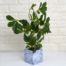 Artificial Ficus premium Plant in designer pot ( Height 42 cms )