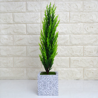 Artificial Christmas Bonsai Plant in designer pot (Height 45 cm )