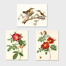 Floral and Bird Rectangular Painting ( Set of 3 ) - 12 x 9 inch