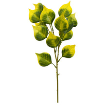 Artificial 13 Leaves Bunch (Height 50 x width 15 cm)