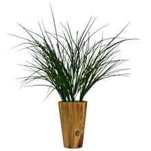 Artificial Lemon Grass Bunch in wooden pot  (Height 50 x width 25 cm)