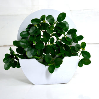 Artificial Looks Real Green Leaves in wooden basket (Height 20 x Width 18 cm)
