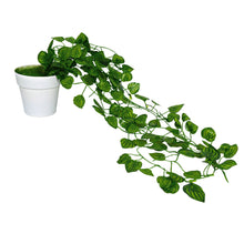 Artificial Vine Plant Falling with Pot (Natural Looking)