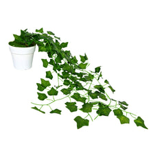 Artificial Vine Plant Falling with Pot (Natural Looking)