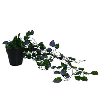 Artificial Vine Plant Falling with Pot (Natural Touch & Feel)