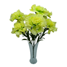 New Carnation sticks without pot (Height : 40 x Width : 20 cm)