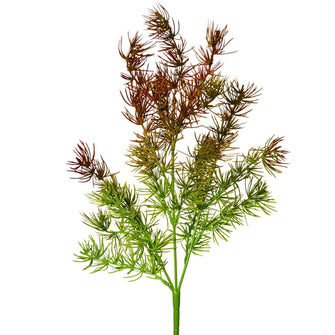 Artificial Asparagus Fern Grass Bunch (Height : 50 x Width : 22 cm)