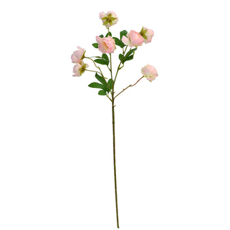 Artificial Flower Stick Peony 7 *1 ( Height : 80cm / Width : 28cm) (Single Stick)