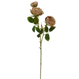Artificial Flower Peony Stick (Height : 60 cm) (Single Stick)