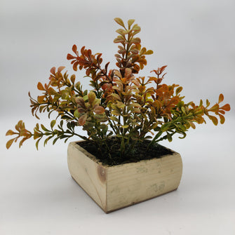 Artificial Plant Fenugreek in Wood Pot (Height : 20 x Width : 18 cm)
