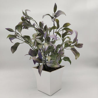 Artificial Brazilian Joyweed Plant in Pot ( Height : 32 x Width : 20 cm)
