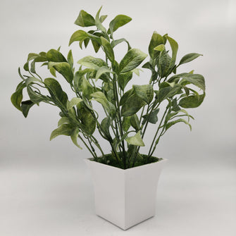 Artificial Brazilian Joyweed Plant in Pot ( Height : 32 x Width : 20 cm)