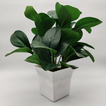 Artificial Rubber Plant Big Leaves in Pot (Height : 30 x Width : 25 cm)