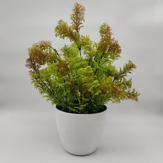 Artificial Plant Coriander Bush in Pot ( Height : 32 x Width : 20 cm)