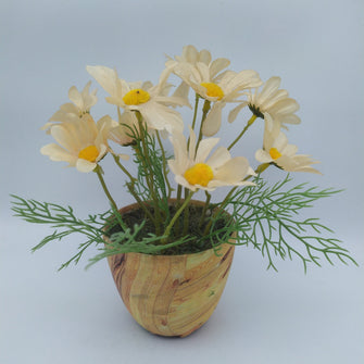 Artificial Cone flower in Designer Plastic Pot ( Height : 20 x Width : 11)