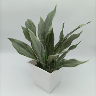 Artificial lily leaves in plastic pot ( Height : 28 x Width: 14)