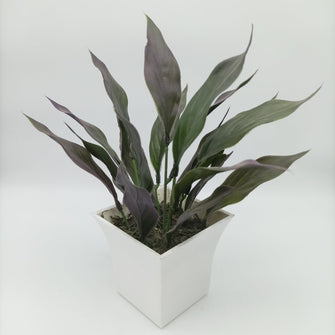 Artificial lily leaves in plastic pot ( Height : 28 x Width: 14)
