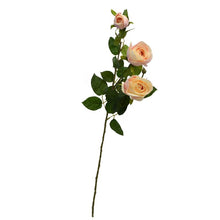 Artificial Rose 2*1 Stick ( Height : 70 cm)