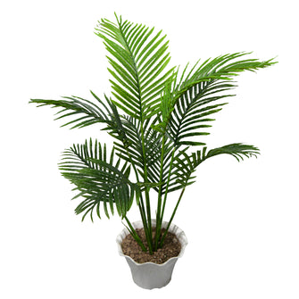 Artificial PAM Plant SR (Height : 4.25 Feet) without Pot