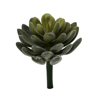 Artificial Cactus/Succulents-MoonStone (Height : 12 cm x Width : 8 cm)