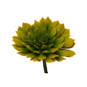 Artificial Cactus/succulents-Molded Wax (Height : 15 cm x Width : 15 cm)