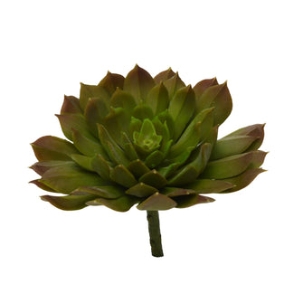 Artificial Cactus/succulents-Molded Wax (Height : 15 cm x Width : 15 cm)