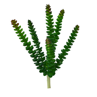 Artificial Cactus/Succulents-Burro Tail ( Height : 21 cm x 15 cm)