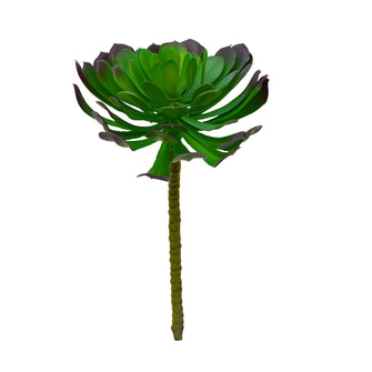 Artificial Cactus/Succulents-Tree aeonium ( Height : 29 cm x Width : 15 cm)