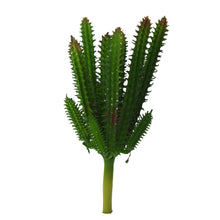 Artificial Cactus/Succulents-Spike Cactus ( Height : 20 cm x 10 cm )