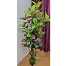 Artificial Schefflera/Croton/Mapple plant AK (Height : 5 feet) without pot