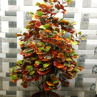 Artificial Fish tail plant AK  (Height : 5 feet) without Pot