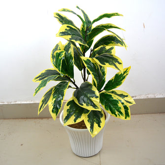 Artificial  3 Branch Natural plant (Height : 60 cm) without Pot