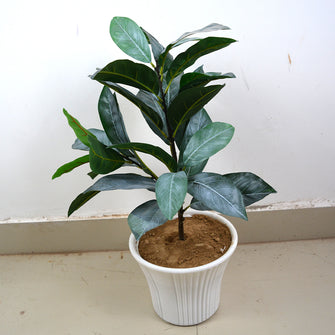 Artificial  3 Branch Natural plant (Height : 60 cm) without Pot