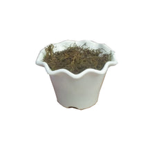 KINGRI POT WITH FILLING [ SIZE : Height -3 Inch / Width -4 Inch] (Single Pot)