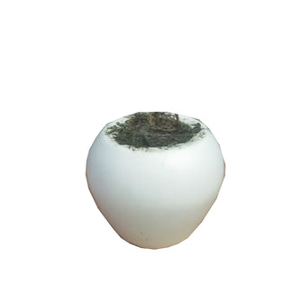 SMALL APPLE POTWITH FILLING [ SIZE : Height -2 Inch / Width -2.5 Inch] (Single Pot)