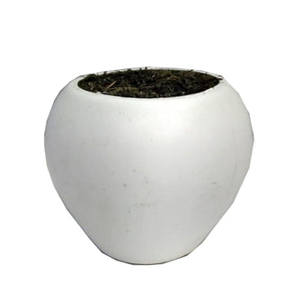 BIG APPLE POT WITH FILLING [ SIZE : Height -5.5 Inch / Width -6.5 Inch] (Single Pot)