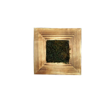 WALL HANGING PLANTER WITH FILLING 7.5 X 7.5 [ SIZE : Height -7.5 Inch / Width -7.5 Inch] (Single Pot)