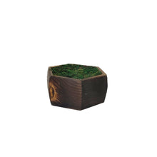 WOOD LILY POT WITH FILLING [ SIZE : Height -2 Inch / Width -4 Inch] (Single Pot)