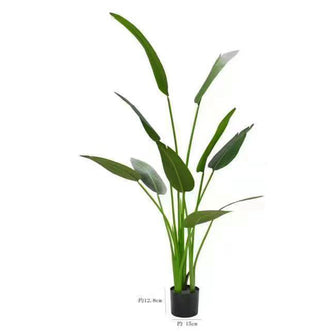 Artificial Plant (Height : 5 feet) without Pot