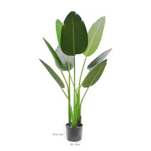 Artificial Plant (Height : 5 feet) without Pot