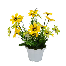 Artificial Daisy Flower in Kingri Pot