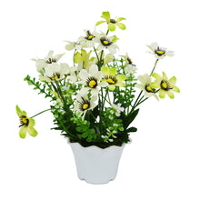 Artificial Daisy Flower in Kingri Pot