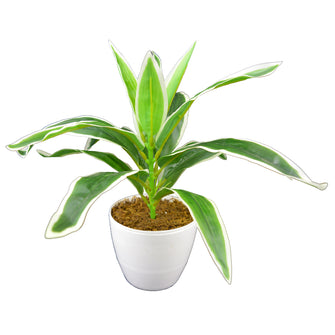 Artificial Dracina plant in white round pot