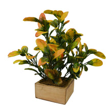 Artificial Citrus Lime plant in Wood square Pot