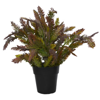 Artificial Cypress Plant in Round Pot