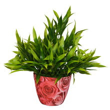 Artificial Bamboo Plant in Round Texture Pot