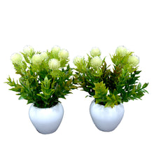 Artificial Formosan Plant (set of 2)  With Small Apple Pot