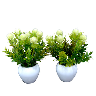 Artificial Formosan Plant (set of 2)  With Small Apple Pot