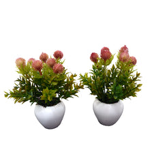 Artificial Formosan Plant (set of 2)  With Small Apple Pot